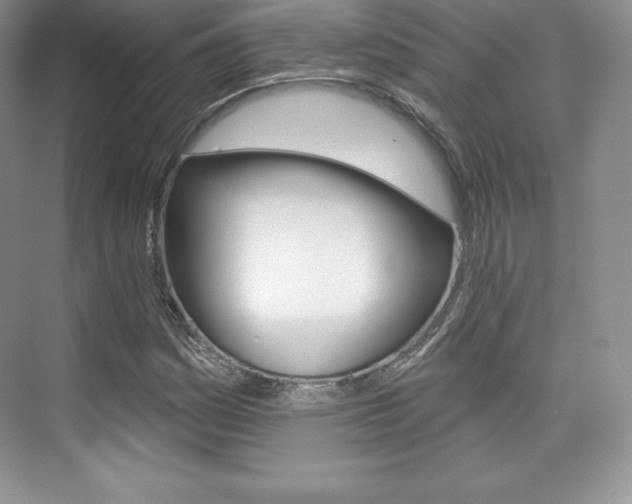 X0000073891161200608110902