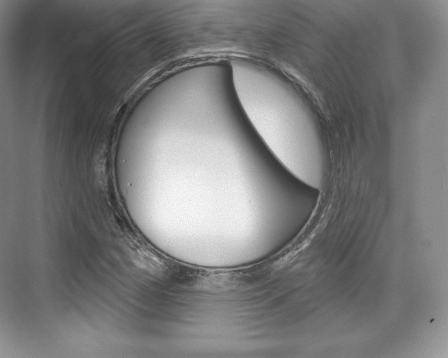 X0000073891162200608110902