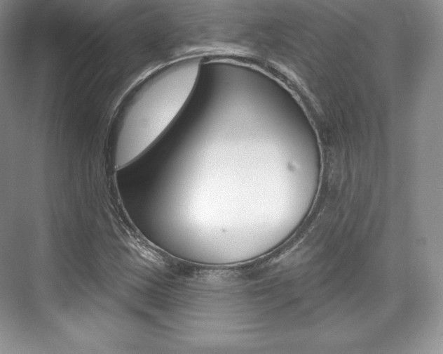 X0000073891163200608110902
