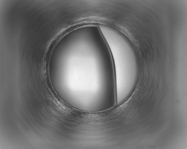 X0000073891164200608110902