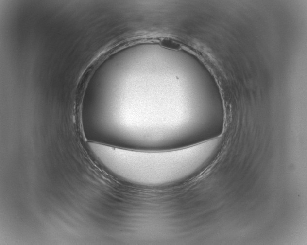 X0000073891165200608110902
