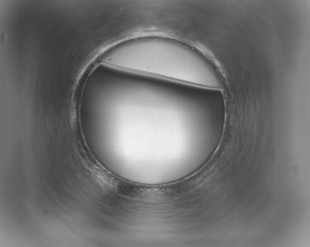 X0000073891167200608110902