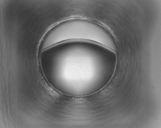 X0000073891168200608110902