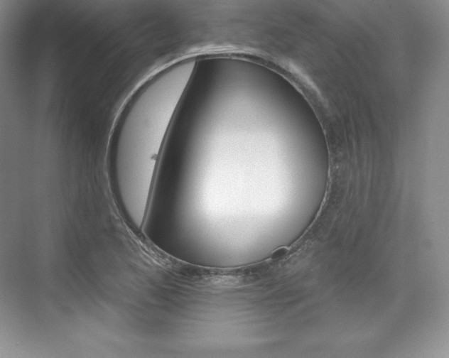 X0000073891173200608110902