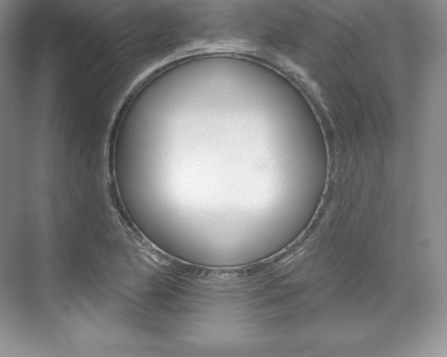 X0000073891174200608110902