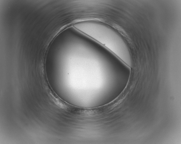 X0000073891177200608110902