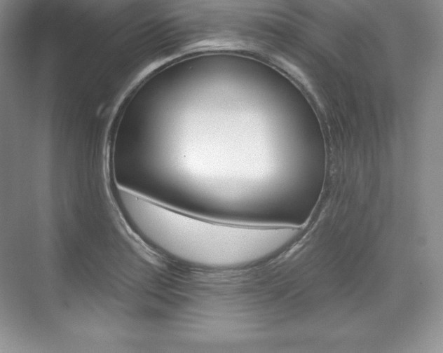 X0000073891179200608110902