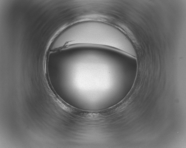 X0000073891180200608110902