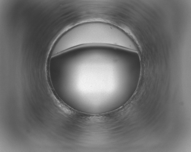 X0000073891181200608110902