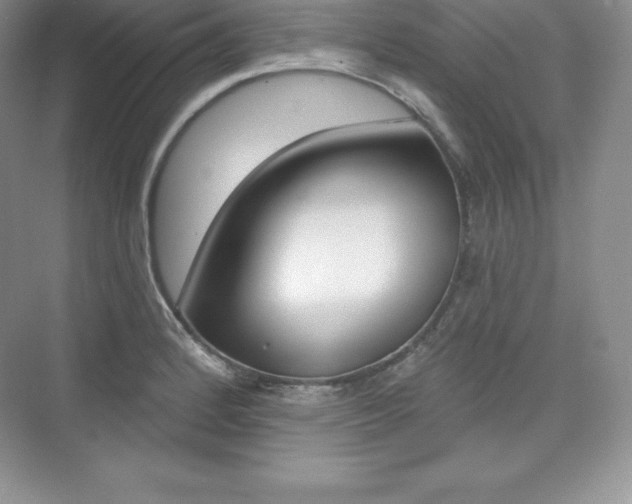 X0000073891184200608110902