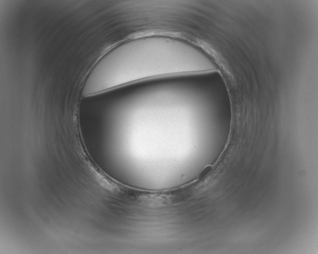 X0000073891185200608110902
