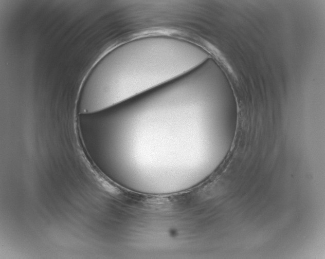X0000073891186200608110902