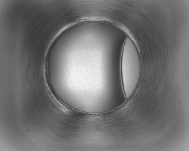 X0000073891187200608110902
