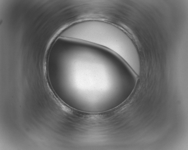 X0000073891188200608110902