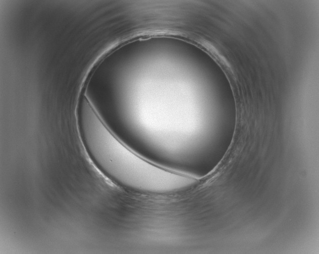 X0000073891189200608110902