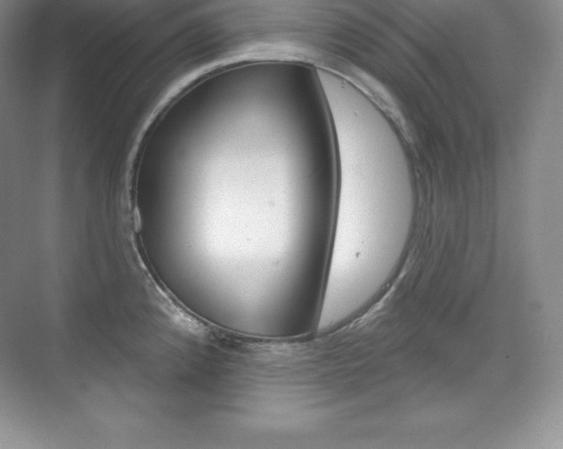 X0000073891192200608110902