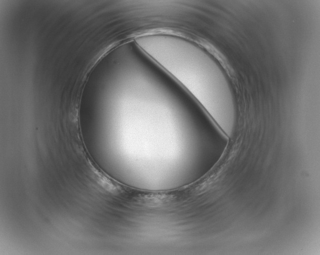 X0000073891193200608110902