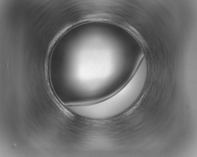 X0000073891196200608110901