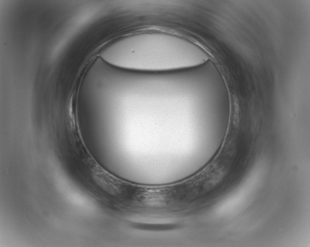 X0000073891198200608110901