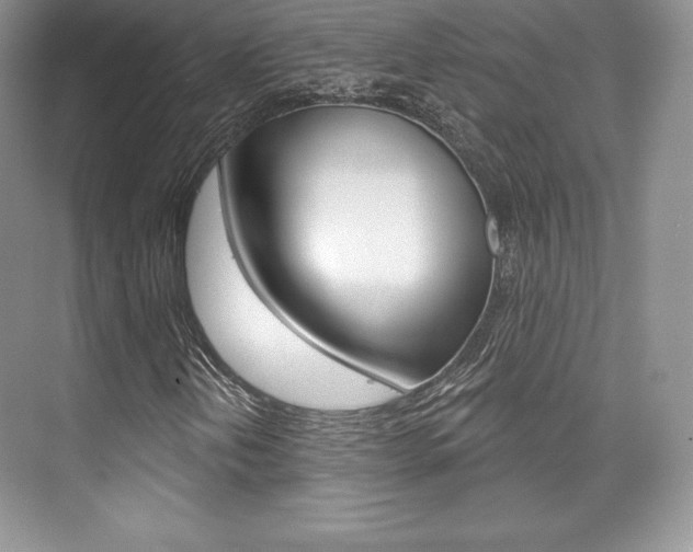 X0000073891202200608110901
