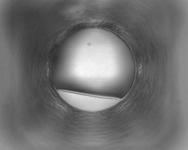 X0000073891204200608110901