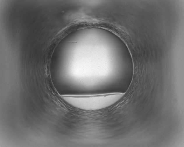 X0000073891205200608110901