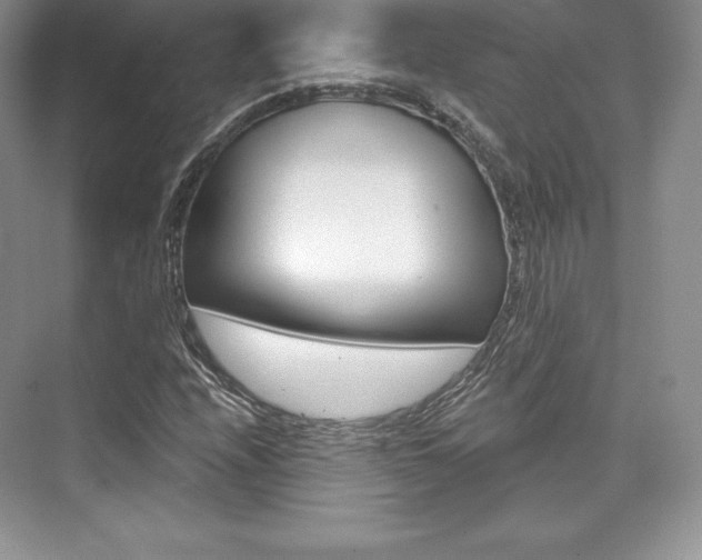 X0000073891208200608110901