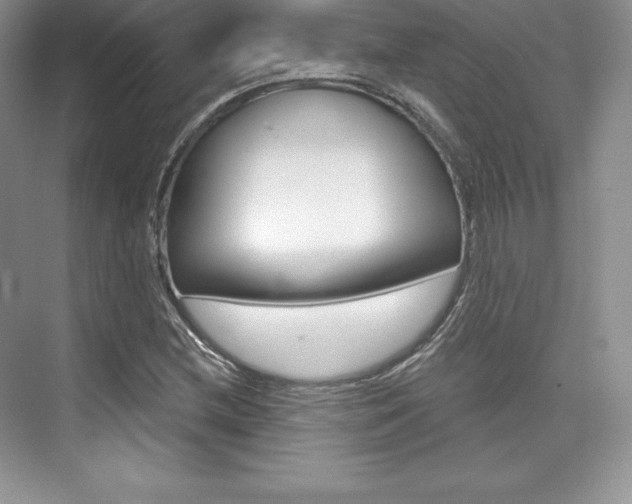 X0000073891212200608110901