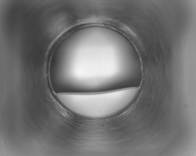 X0000073891216200608110901