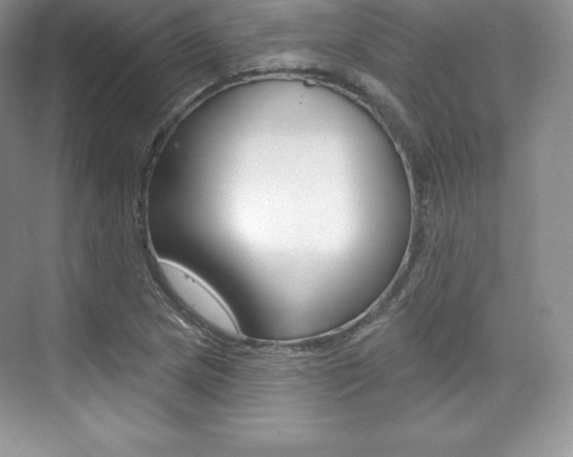 X0000073891217200608110901