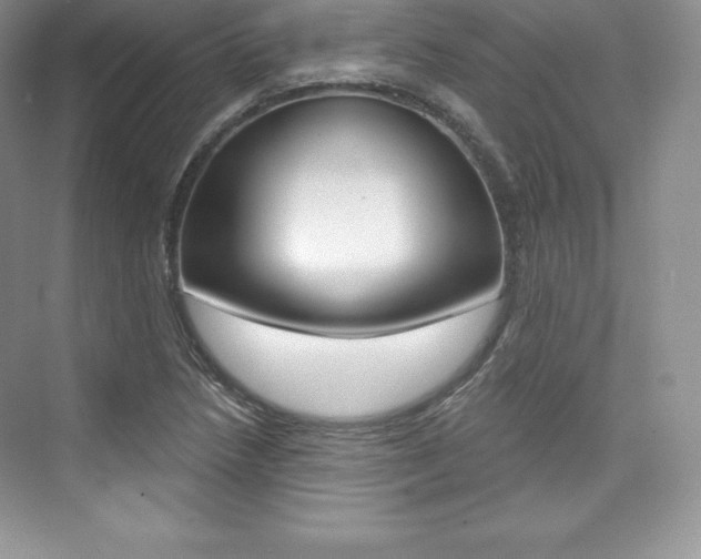 X0000073891218200608110901
