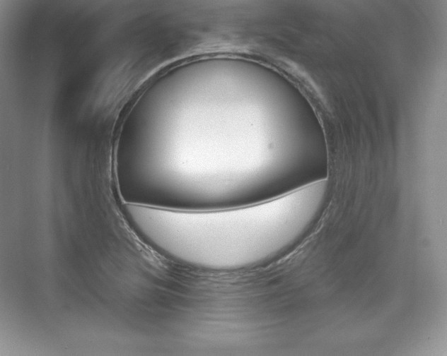 X0000073891220200608110901