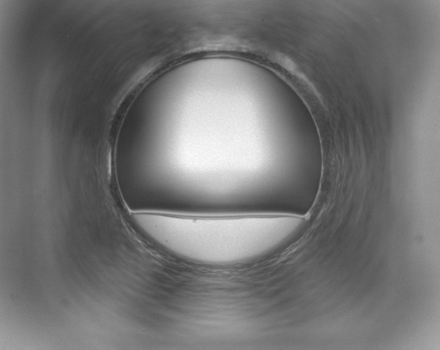 X0000073891221200608110901
