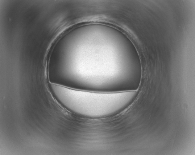 X0000073891224200608110901