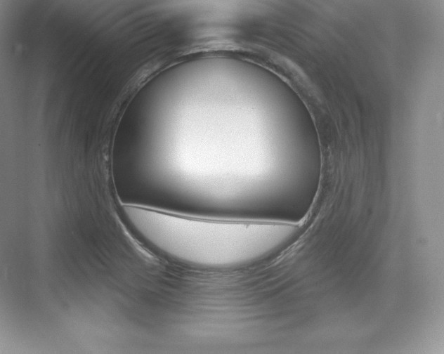 X0000073891225200608110901