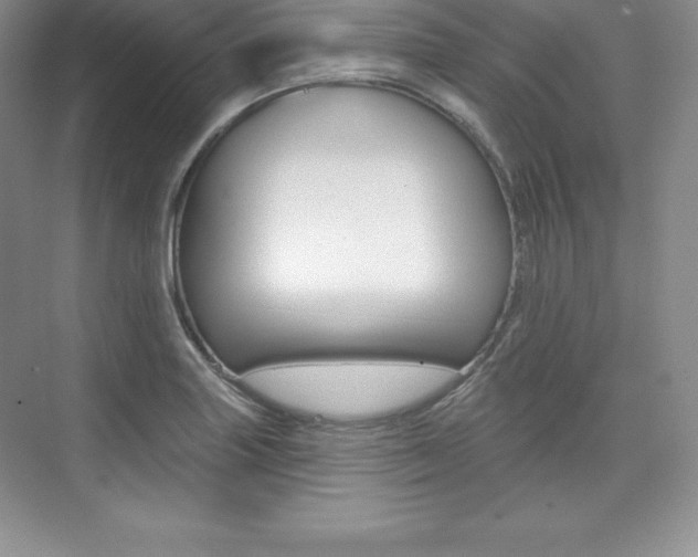 X0000073891227200608110901