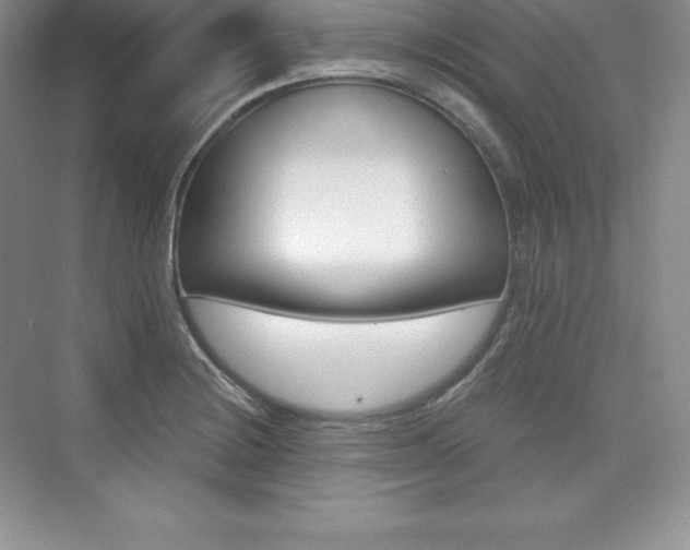 X0000073891228200608110901