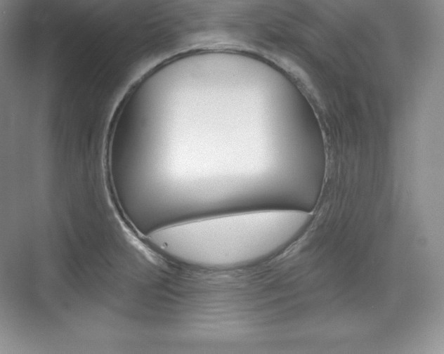 X0000073891231200608110901