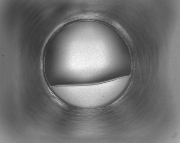 X0000073891232200608110901