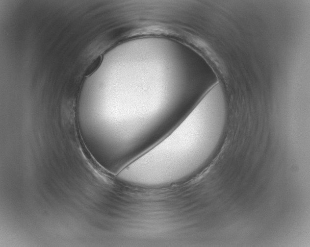 X0000073891233200608110901