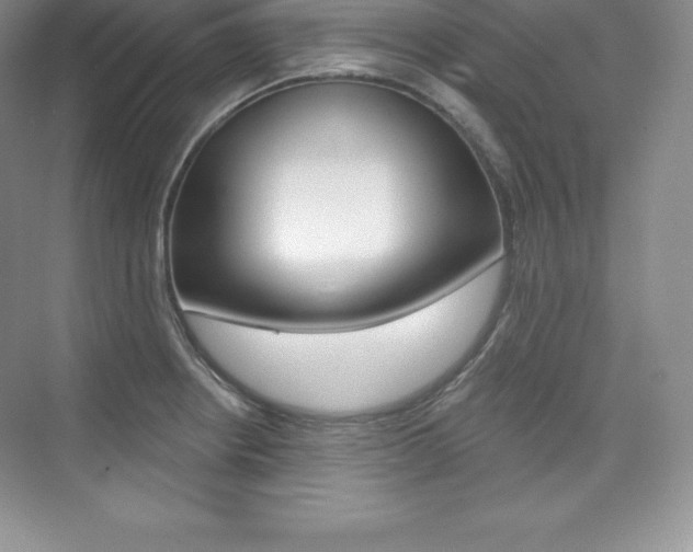 X0000073891234200608110901
