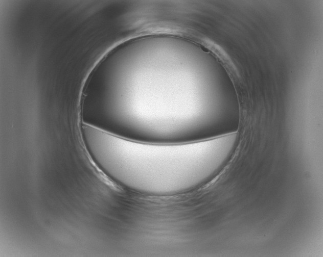 X0000073891236200608110901