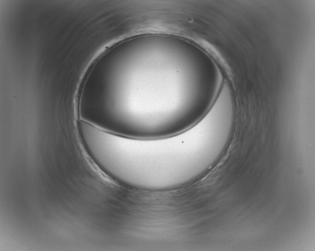X0000073891238200608110901