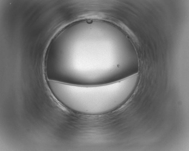 X0000073891240200608110901