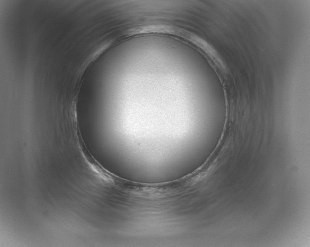 X0000073891241200608110901