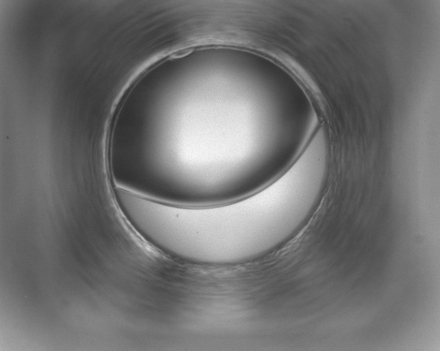 X0000073891246200608110901