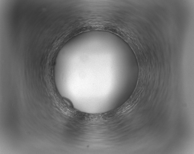 X0000073891249200608110901