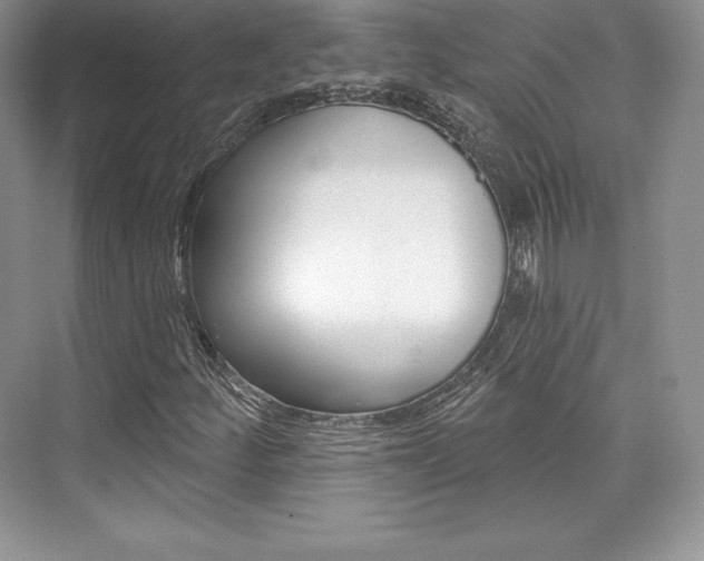 X0000073891252200608110901