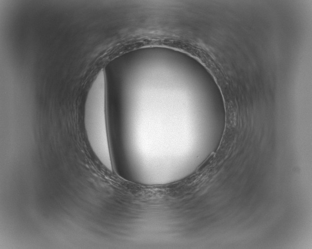 X0000073891253200608110901