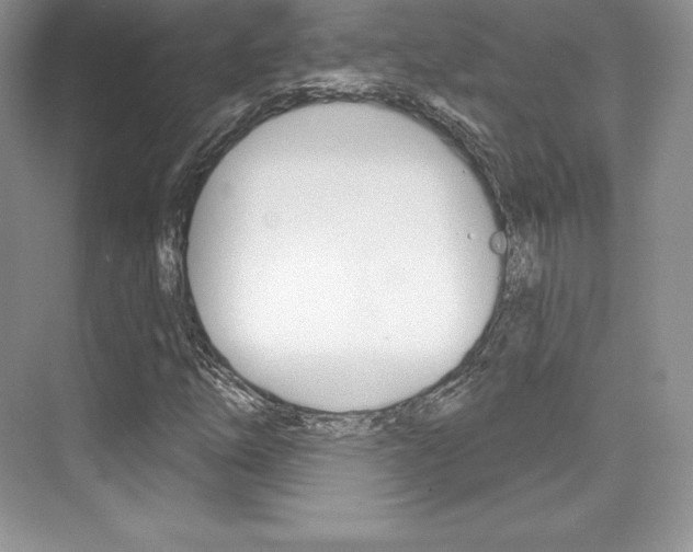 X0000073891254200608110901